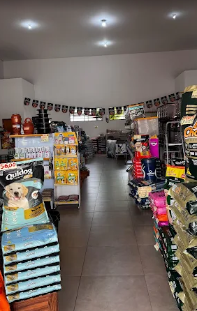 Animais recebendo carinho na loja