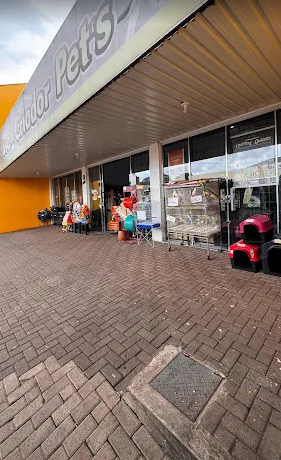 Destaque de aves e acessórios